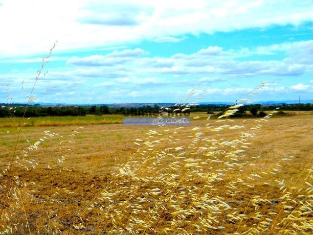 Terreno venda em Guarda, Figueira De Castelo Rodrigo