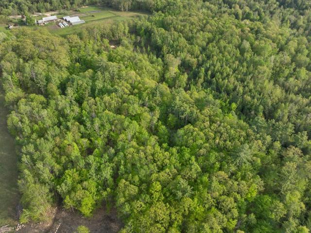 Land for sale in New Hampshire