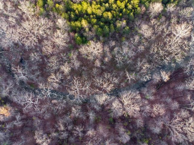 Land for sale in Crittenden, Kentucky