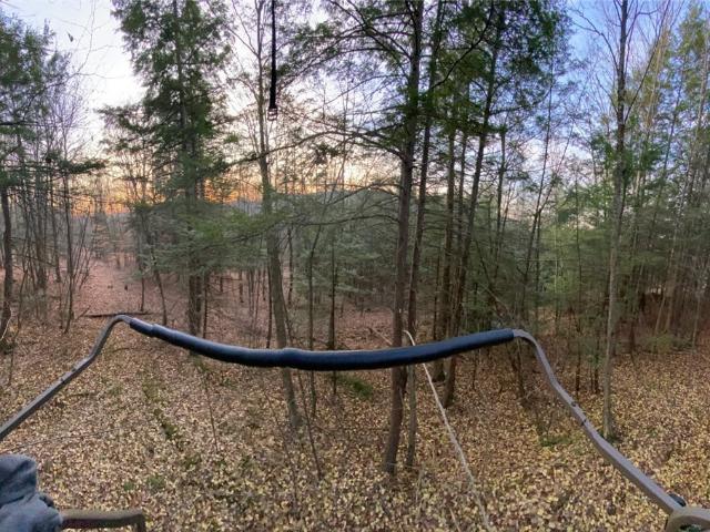 Land for sale in New York