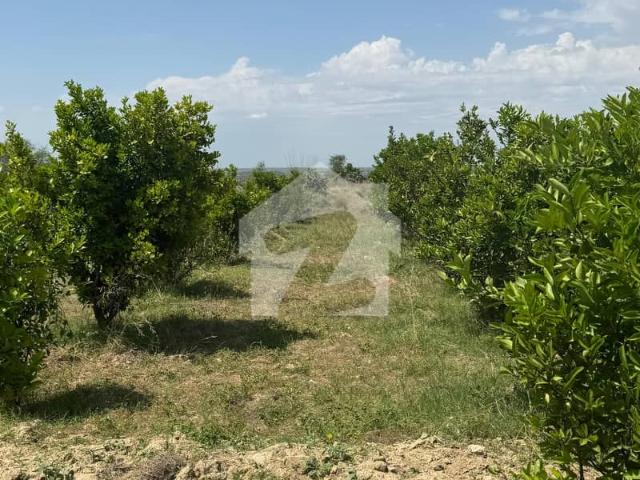 Land for sale in Chakwal, Islamabad Capital Territory