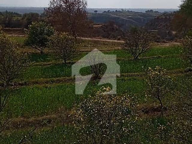 Land for sale in Chakwal, Islamabad Capital Territory