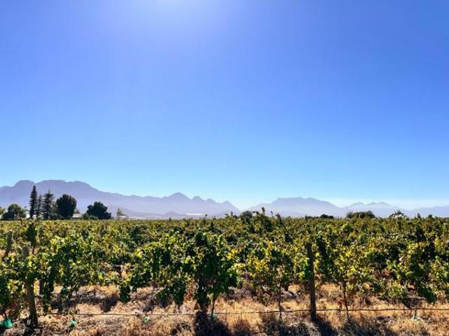 Land for sale in Durbanville, Western Cape