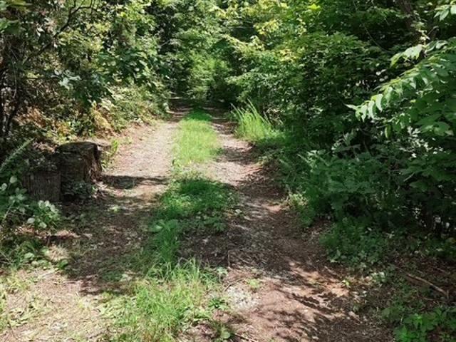 Land for sale in Graham, North Carolina