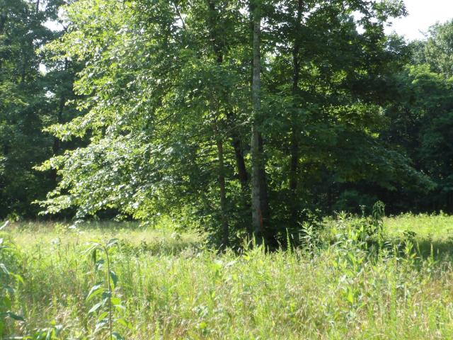 Land for sale in Gainesboro, Middle Tennessee