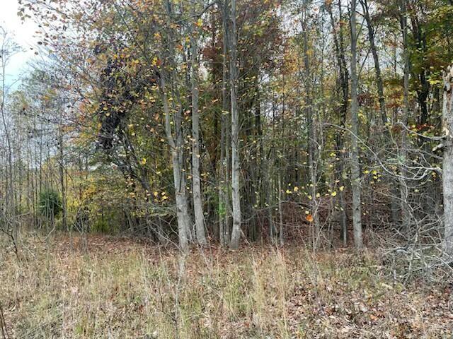 Land for sale in Tennessee