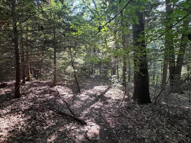 Land for sale in Laurel, Kentucky