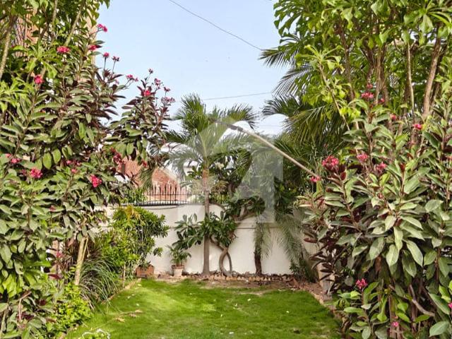 House for sale in North Waziristan, Federally Administered Tribal Areas fata
