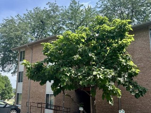 Condo for sale in Lisle, Illinois