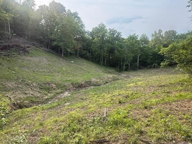 Land for sale in Goforth, Falmouth