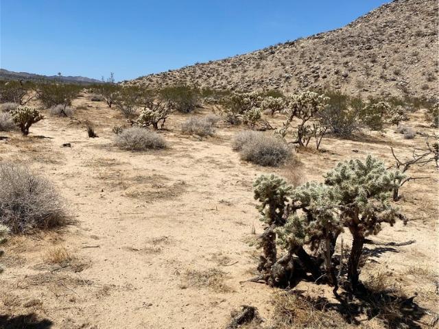 Land for sale in Joshua Tree, California