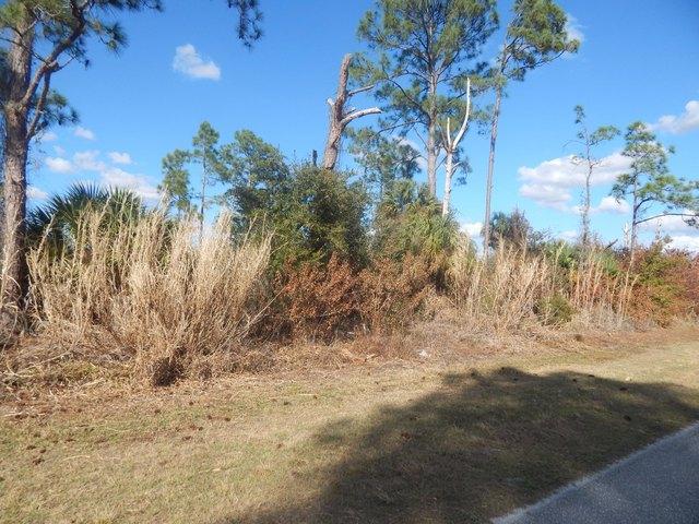 Land for sale in Clewiston, Florida