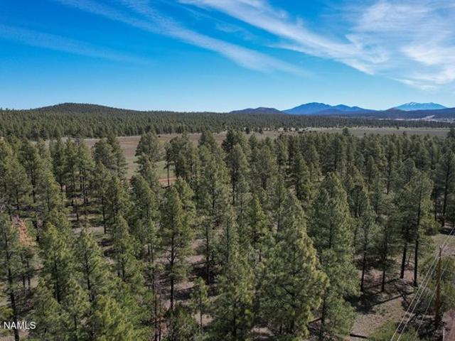 Land for sale in Williams, Arizona
