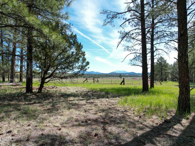Land for sale in Williams, Arizona