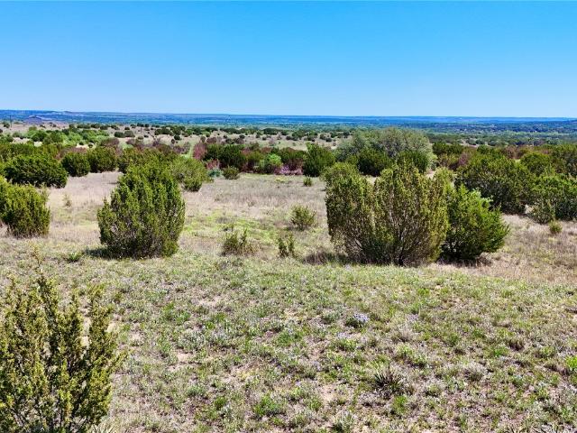 Land for sale in Lometa, Texas
