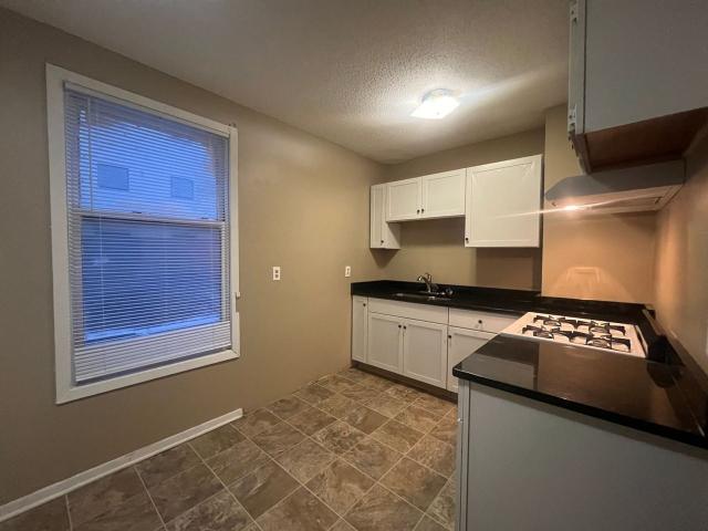 Apartment for rent in Ramsey, Minnesota