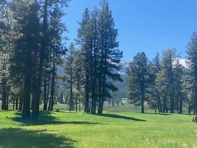 Land for sale in California