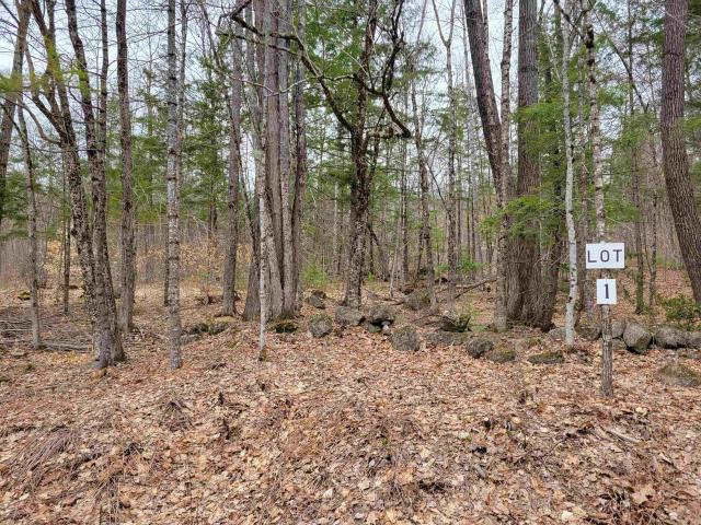 Land for sale in Fryeburg, Maine