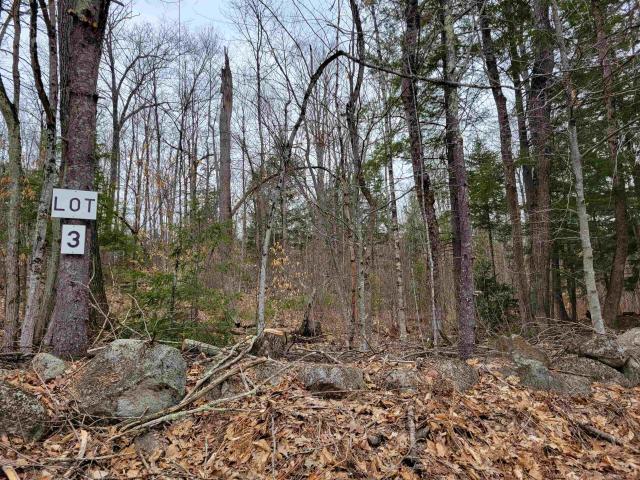 Land for sale in Fryeburg, Maine
