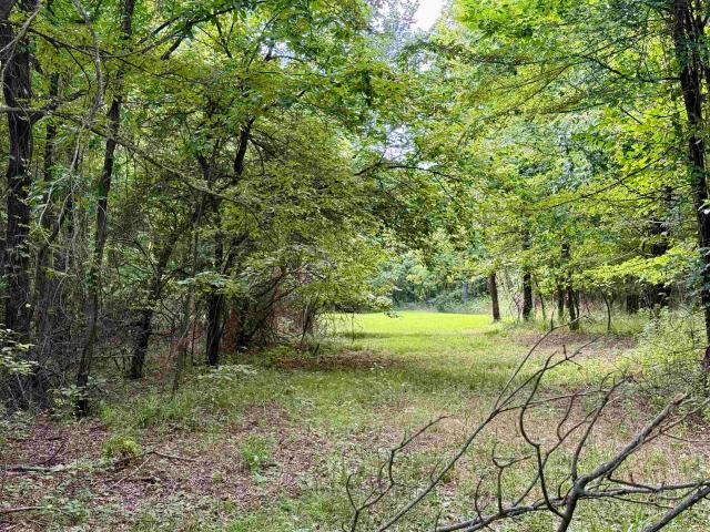 Land for sale in Ark