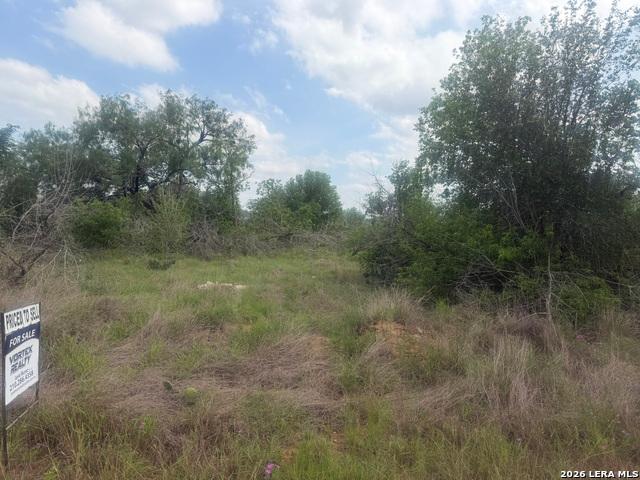 Land for sale in Elmendorf, Texas