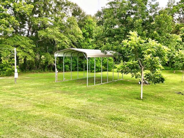 Land for sale in Geneva, Alabama