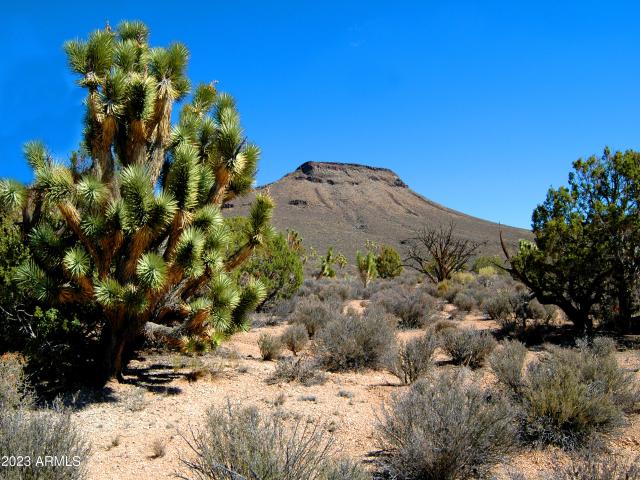 Land for sale in Meadview, Arizona