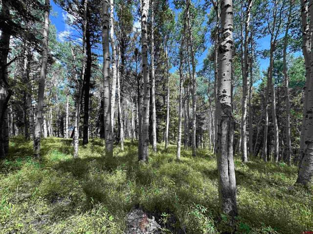 Property for sale in Gunnison, Colorado