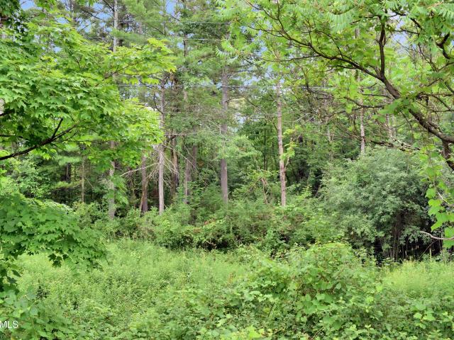 Land for sale in Fort Edward, New York