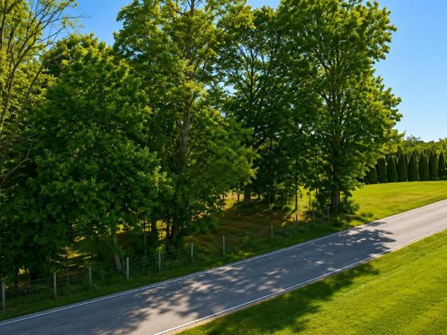 Land for sale in Edmonton, Kentucky