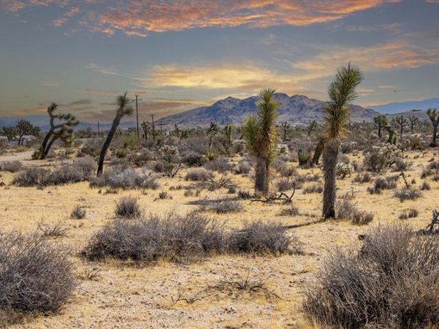Land for sale in Yucca Valley, San Bernardino County