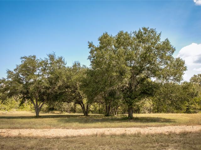 Farm for sale in Post Oak, Ledbetter