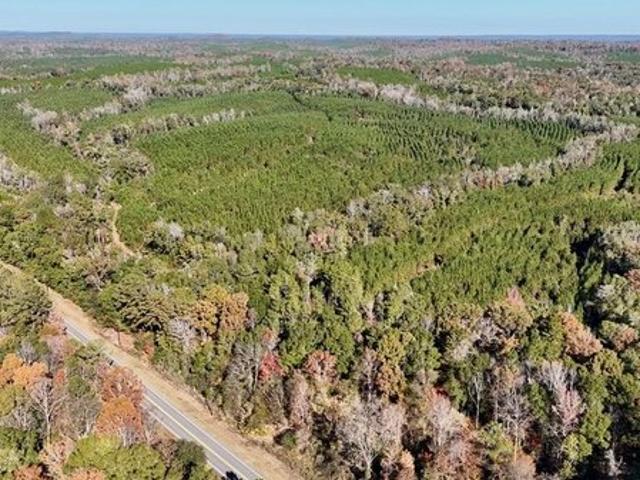 Land for sale in Eufaula, Alabama