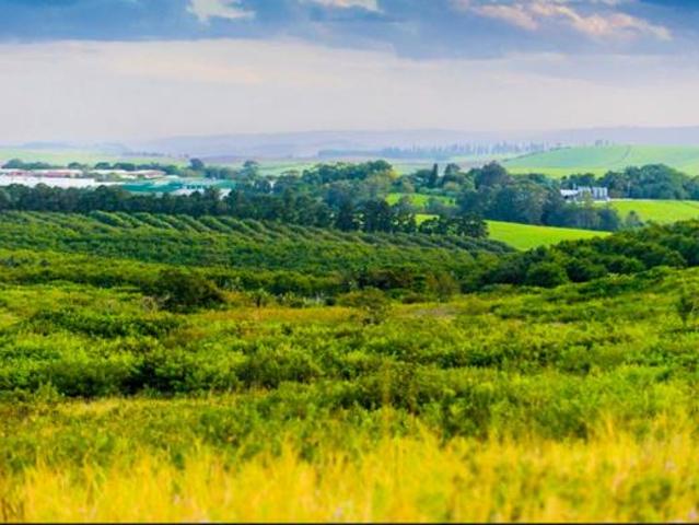 Land for sale in Princess Grant, Kwazulu-natal