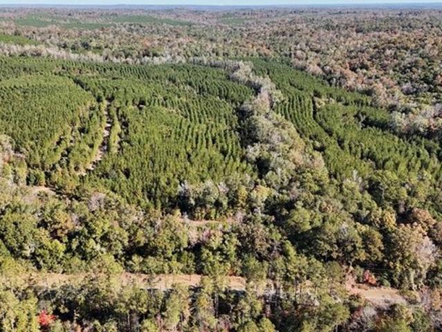 Land for sale in Eufaula, Alabama