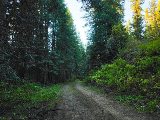 Land for sale in Weippe, Idaho