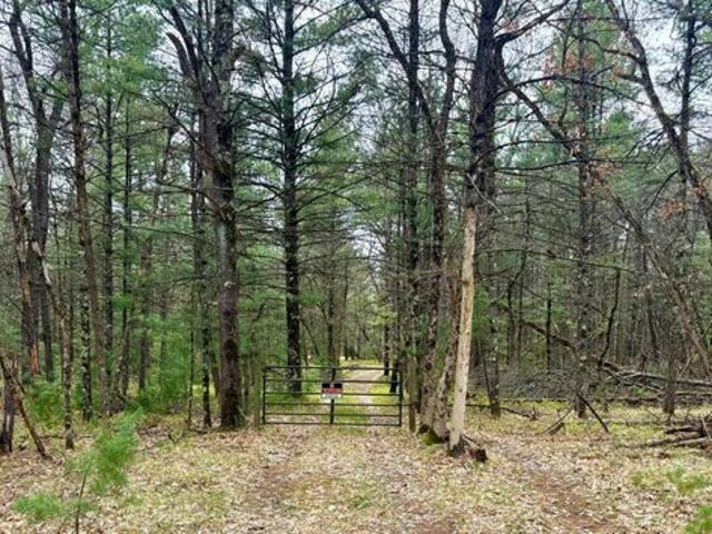 Land for sale in Baldwin, Michigan