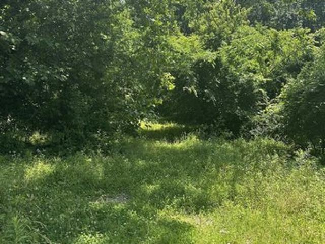 Land for sale in Jonesboro, Illinois