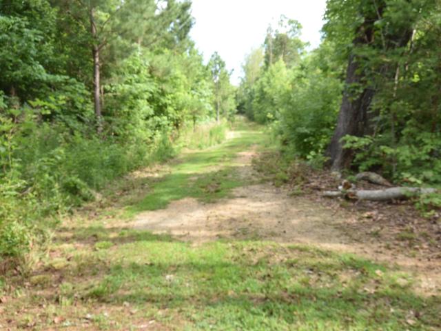 Land for sale in Blanch, North Carolina