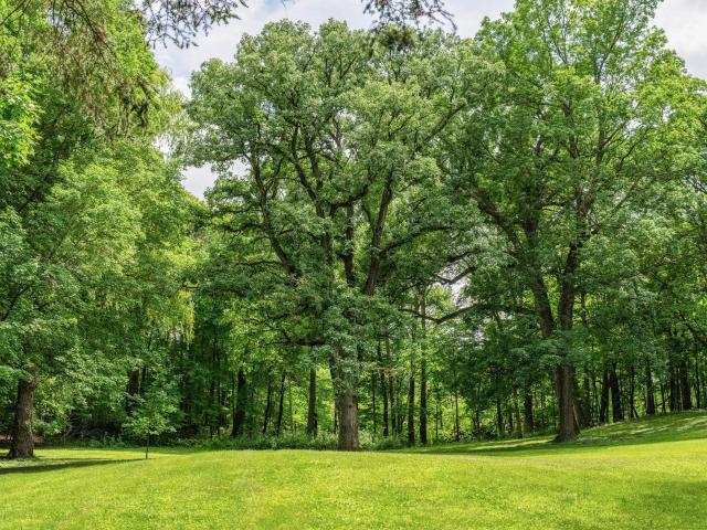 Land for sale in Hennepin, Minnesota