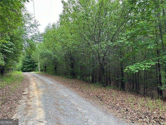 Land for sale in Gordon, Georgia