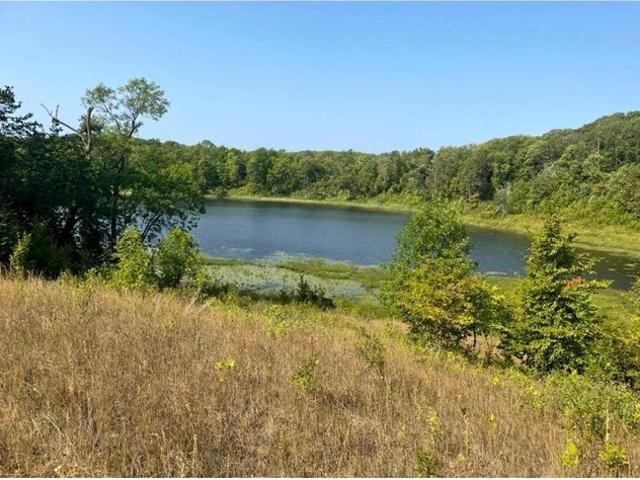 Land for sale in Vergas, Minnesota