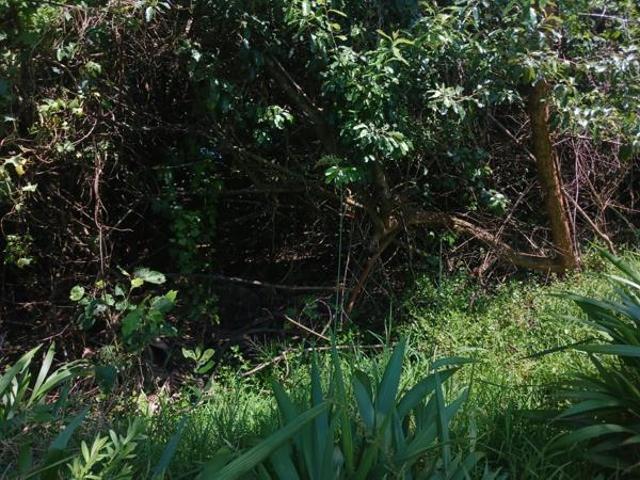 Land for sale