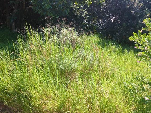 Land for sale in Princess Grant, Kwazulu-natal