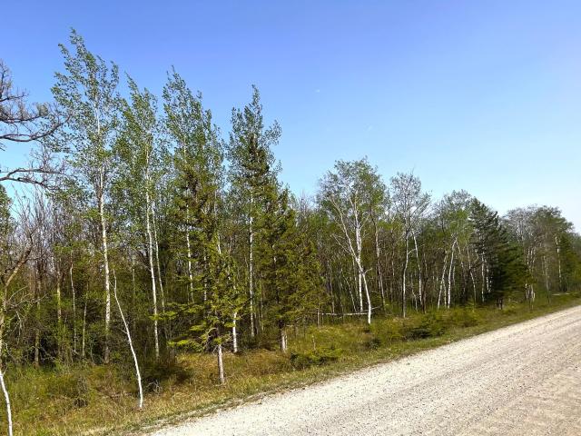 Land for sale in Warroad, Minnesota