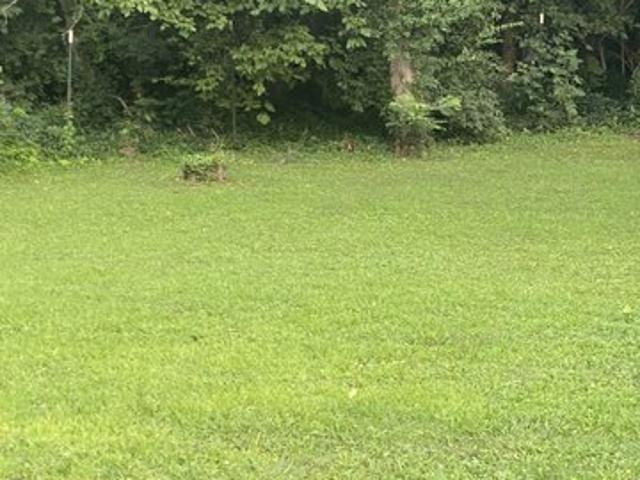 Land for sale in Camby, Indiana