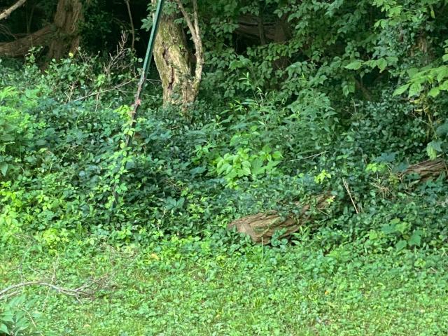Land for sale in Camby, Indiana