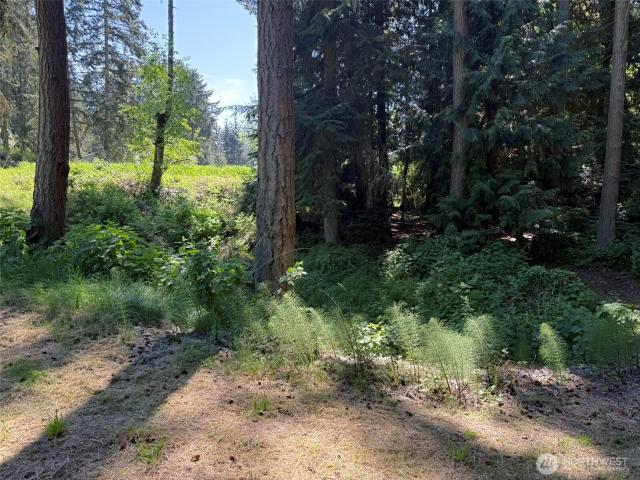 Land for sale in Freeland, Washington