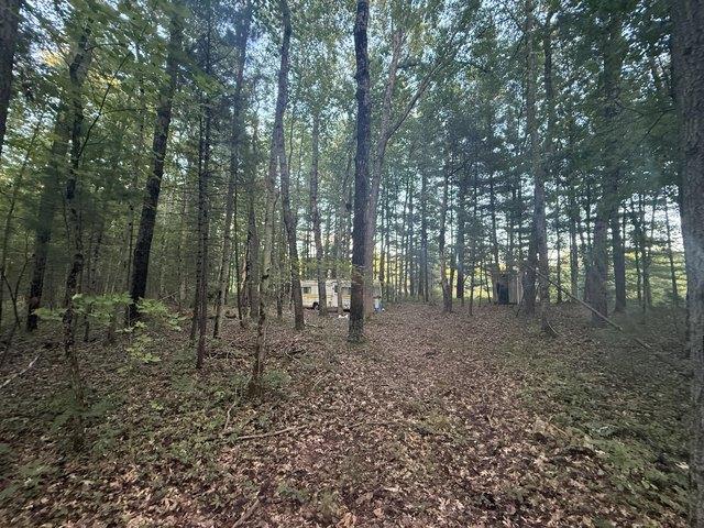 Land for sale in Baldwin, Michigan