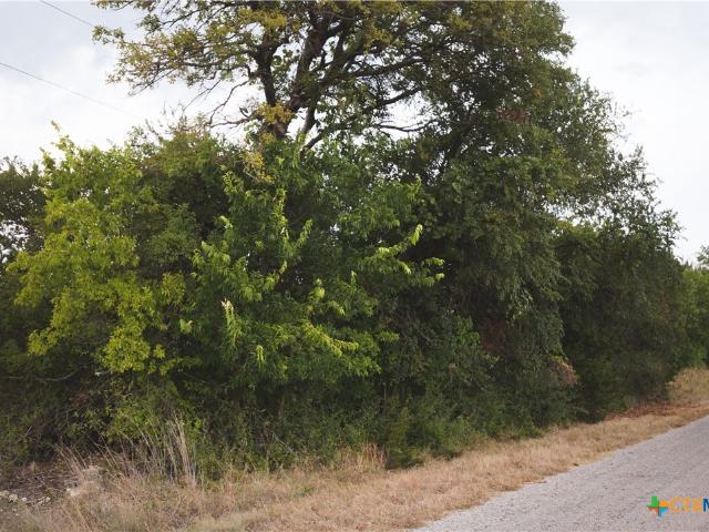 Land for sale in Lometa, Lampasas County